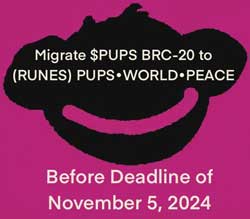 inscription 23b110d0cf8c188bf593dccdc5d736737f6e00fc7b034e7d5cb006e794187024i48