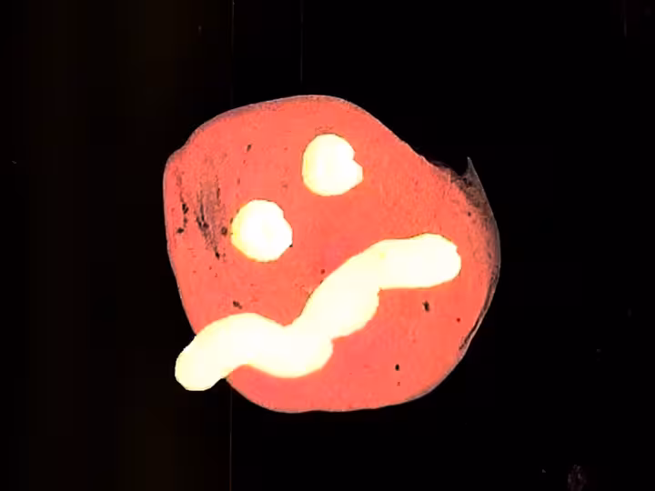 inscription 27ae770330bff7d81cc9f90b682fa1fc7b80c0a0dc5b8c82b746b2ec734bc6d8i11