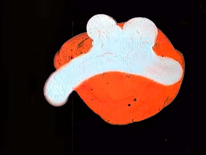 inscription 27ae770330bff7d81cc9f90b682fa1fc7b80c0a0dc5b8c82b746b2ec734bc6d8i19