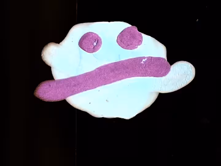 inscription 27ae770330bff7d81cc9f90b682fa1fc7b80c0a0dc5b8c82b746b2ec734bc6d8i29