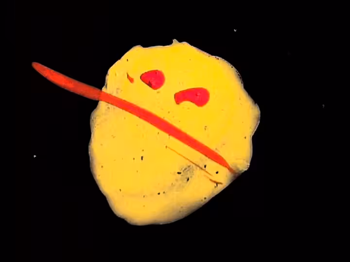 inscription 27ae770330bff7d81cc9f90b682fa1fc7b80c0a0dc5b8c82b746b2ec734bc6d8i3