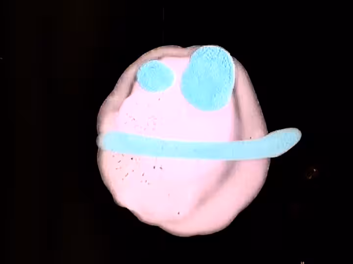 inscription 27ae770330bff7d81cc9f90b682fa1fc7b80c0a0dc5b8c82b746b2ec734bc6d8i6