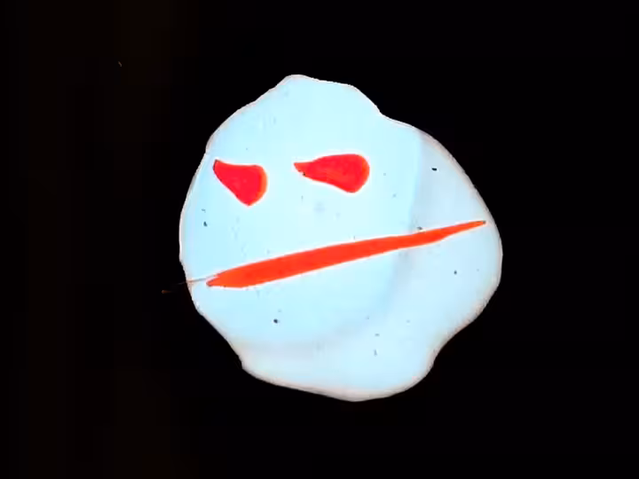 inscription 27ae770330bff7d81cc9f90b682fa1fc7b80c0a0dc5b8c82b746b2ec734bc6d8i8