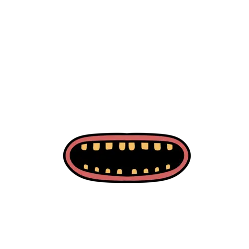 inscription 33333331e3b6549bb972275dbc31aea5e17193972e7e79e8e797fe5f99a7b3c3i38