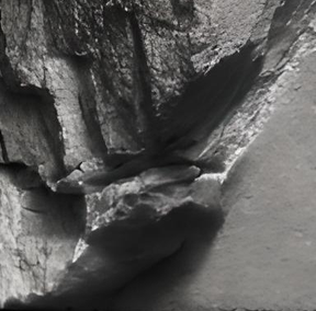 inscription 42e59d877aa2b643e36260f48f9d1e9fb9bb59fead30ad798001c8b2efc37920i1