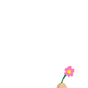 inscription 44d5e61fd080a230c3e7a5a684cb400d9cb0281653fec029b41a561ce3e94e1fi68