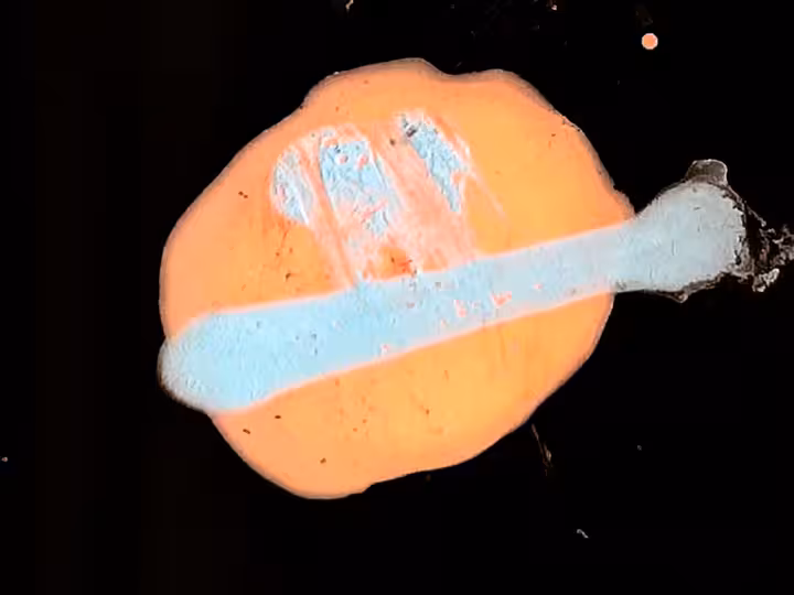 inscription 46126dda16a5e0c62aa61dba977f89b88fb92d11610a21d6e1c53e2ae8c3d5d2i1