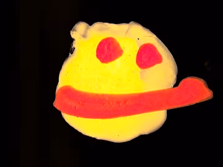 inscription 46126dda16a5e0c62aa61dba977f89b88fb92d11610a21d6e1c53e2ae8c3d5d2i15