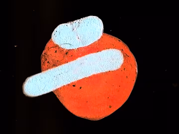 inscription 46126dda16a5e0c62aa61dba977f89b88fb92d11610a21d6e1c53e2ae8c3d5d2i17