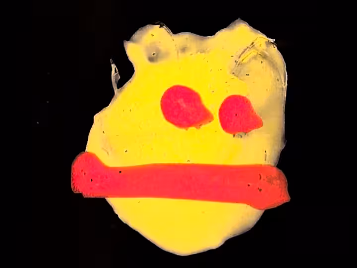 inscription 46126dda16a5e0c62aa61dba977f89b88fb92d11610a21d6e1c53e2ae8c3d5d2i21