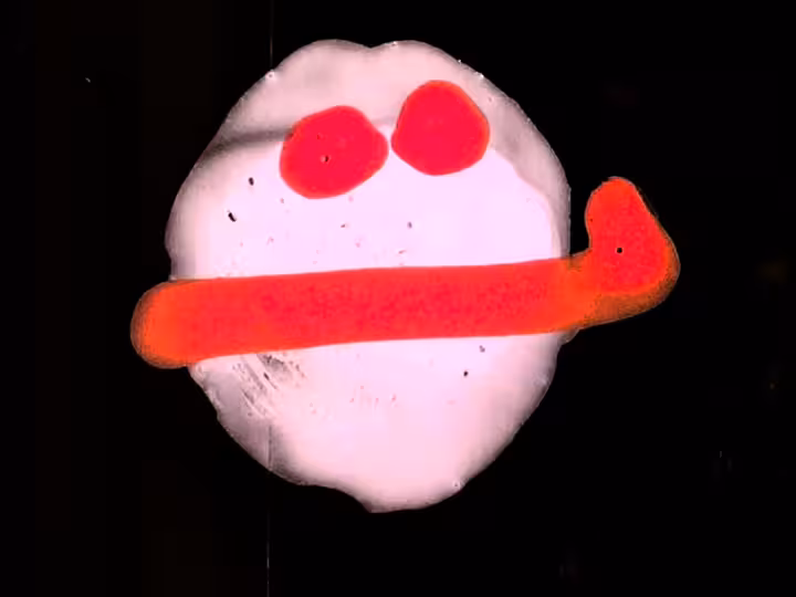 inscription 547fa32ad1c13d91bbbe4f4d6b3286912e2506db251d21ae63085cdcdd655692i6