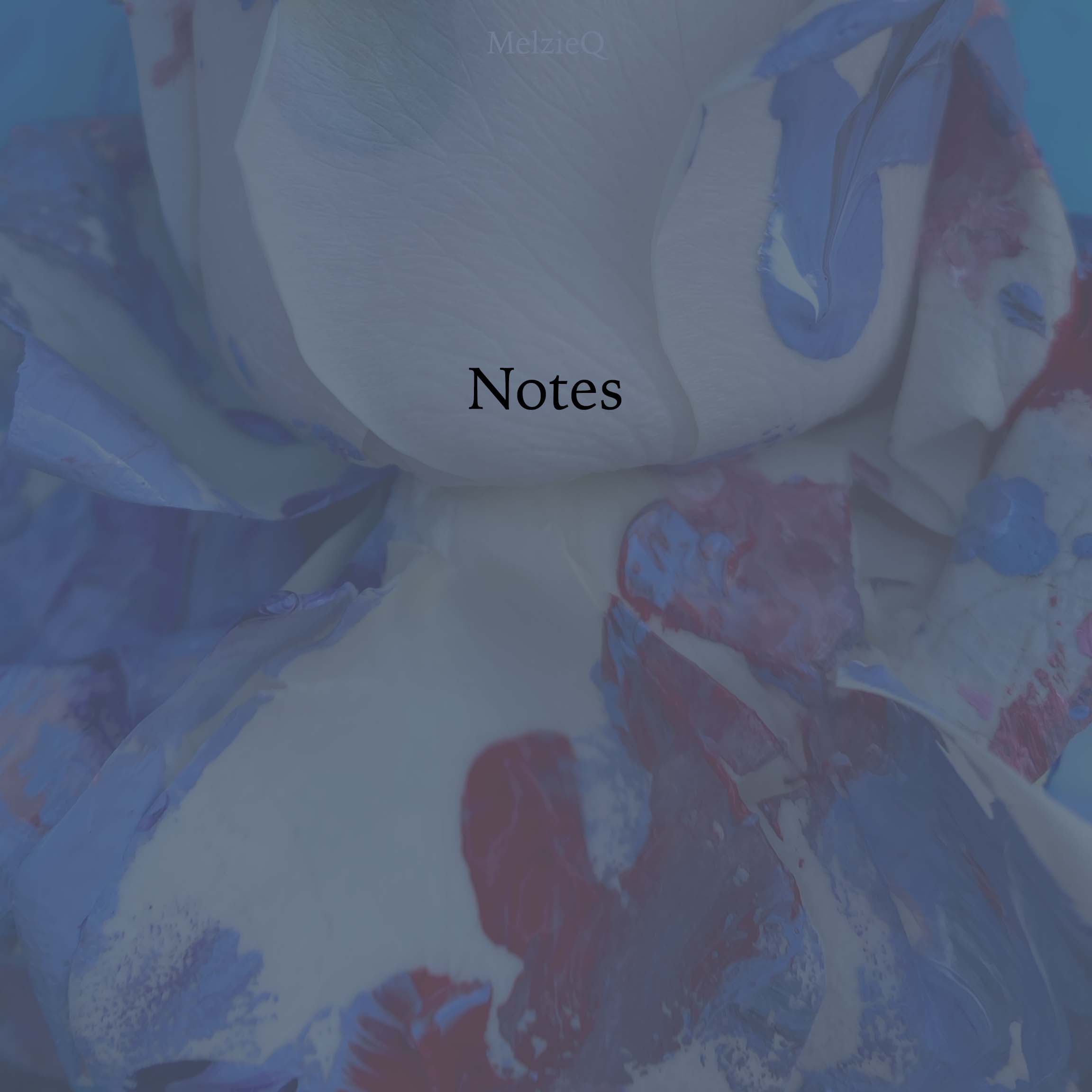 inscription 691430f8bbe623326f3b9cca07409a40b2dac7b7e5b516d2b853889cd19cbf79i0