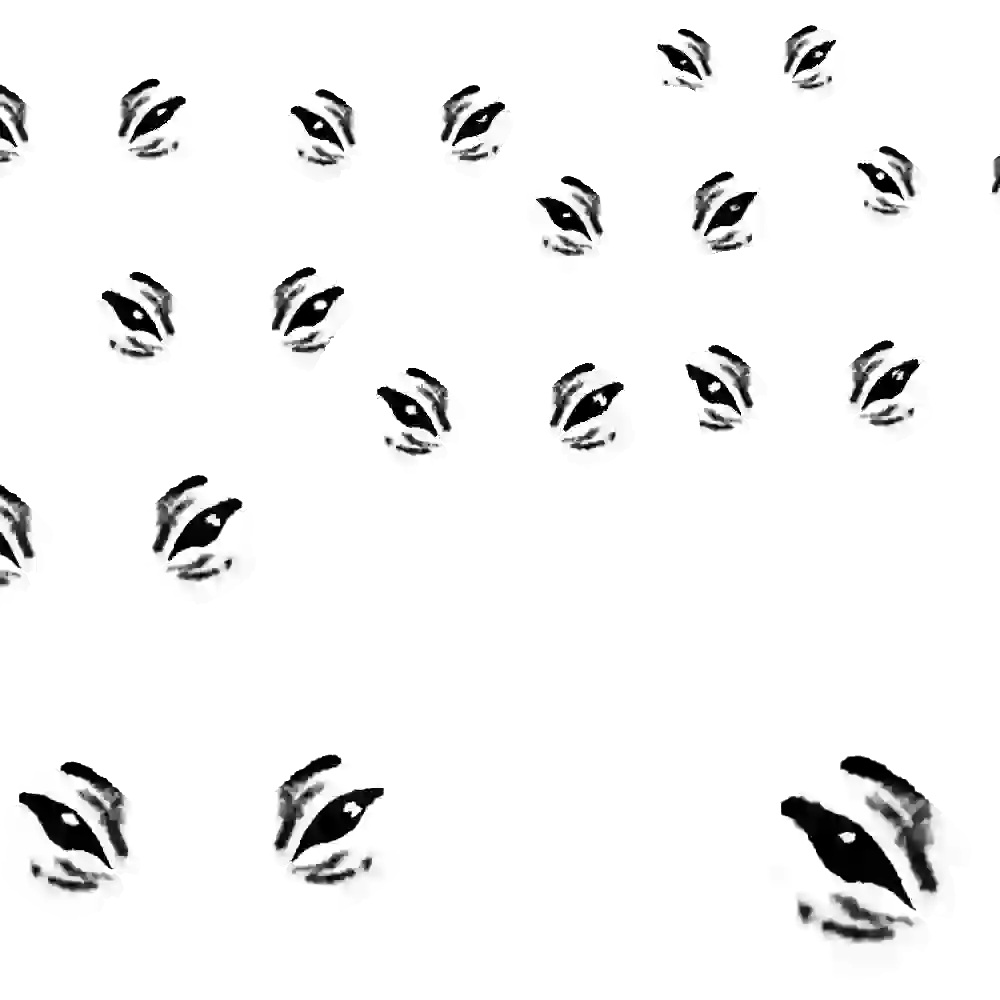 inscription 91665888fc5b6c533f7d4eaad577500d94b8de9b2970184d3b721baa87ab23c5i11