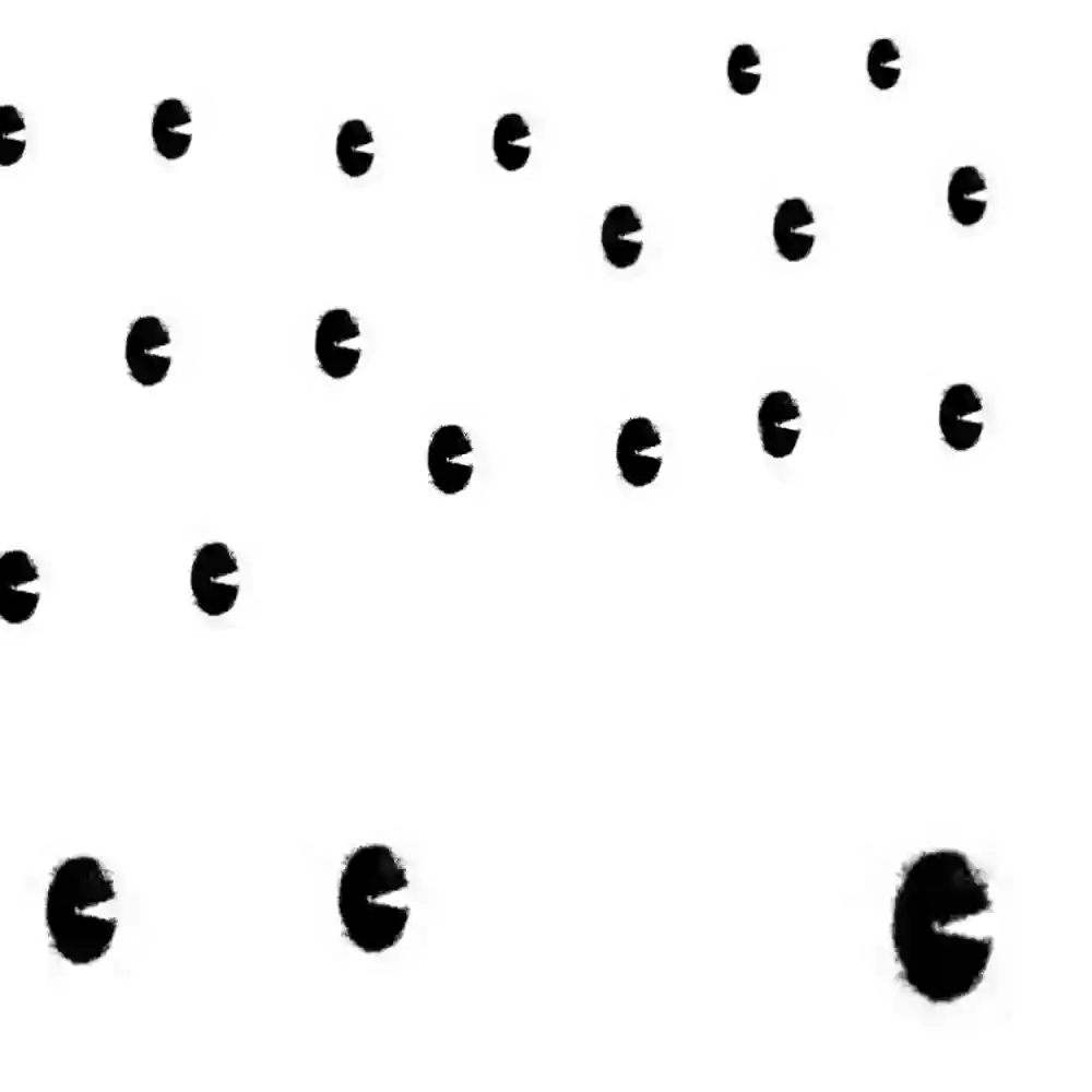 inscription 91665888fc5b6c533f7d4eaad577500d94b8de9b2970184d3b721baa87ab23c5i12