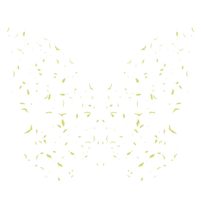 inscription 9b81d6835cddb302249446e331261dfb04d8bdb49518cb9b7a537f17dd55bb15i0