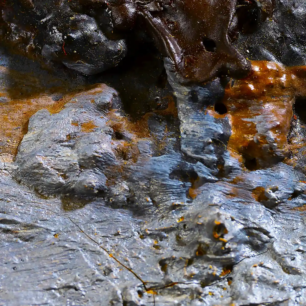 inscription 9c118e8f67a1ee64be23d56ab7612d440e26a814c908c57ab72841add90f6785i0