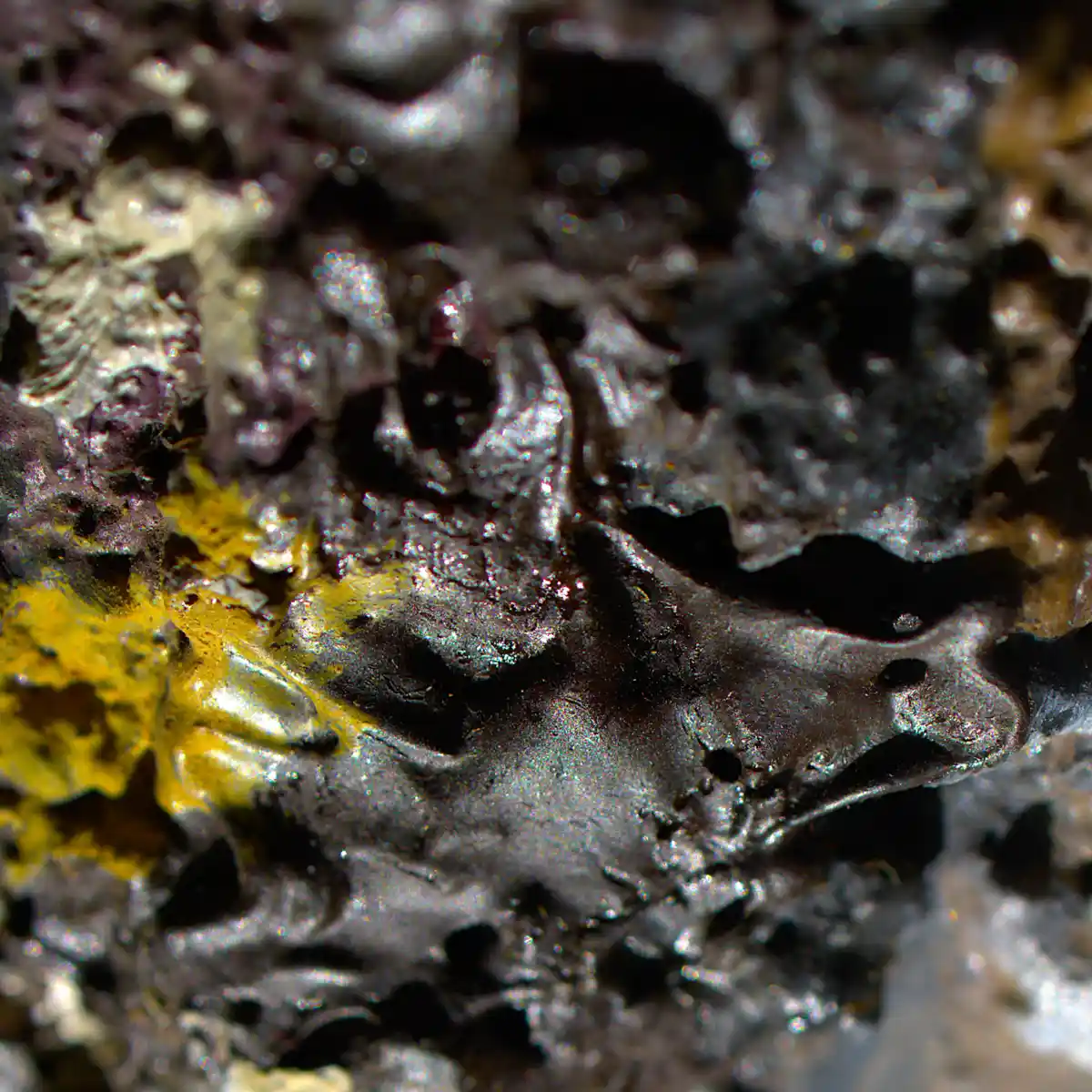 inscription a54b596cced8383647eba0fee621cc27b2360af3891b982534c698ccea0bff30i1