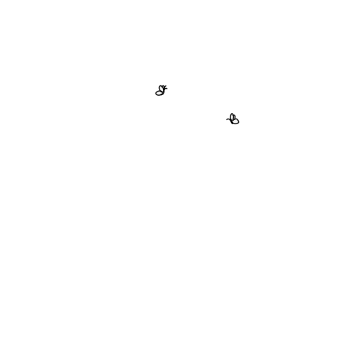 inscription a8f587c351fe8402862c0093b8fc7a2186d7c3ed9ea5d7e4084f17fa019728eei9