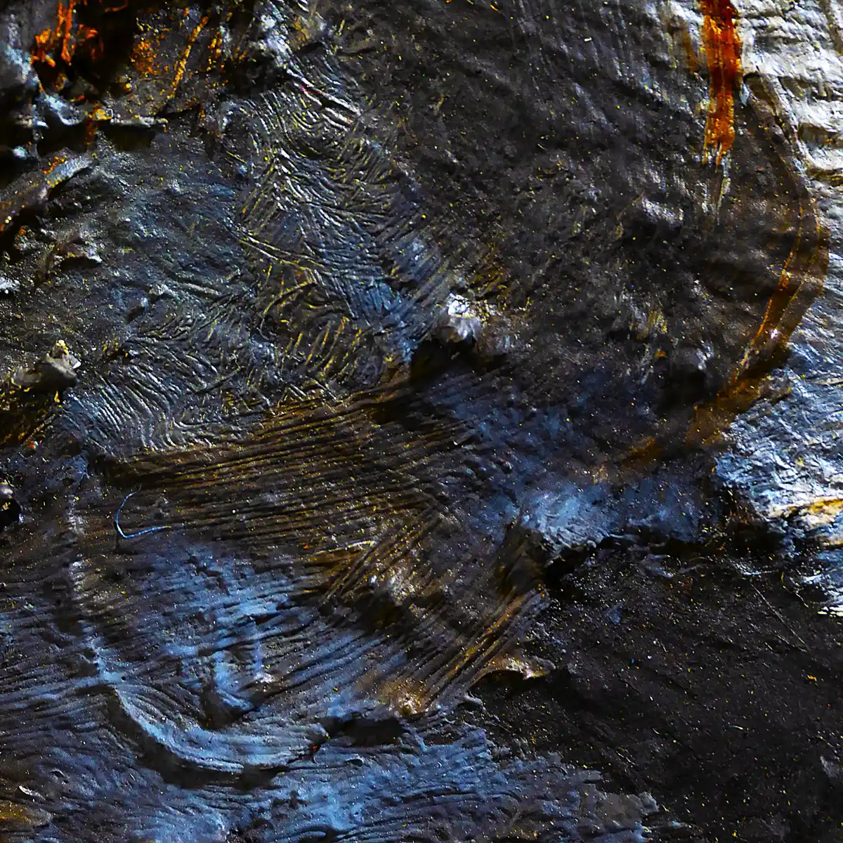 inscription ad8d4333ce36e314688b86f2f357e49fd5aaeb300b6702421b6fb6b853a5c116i0