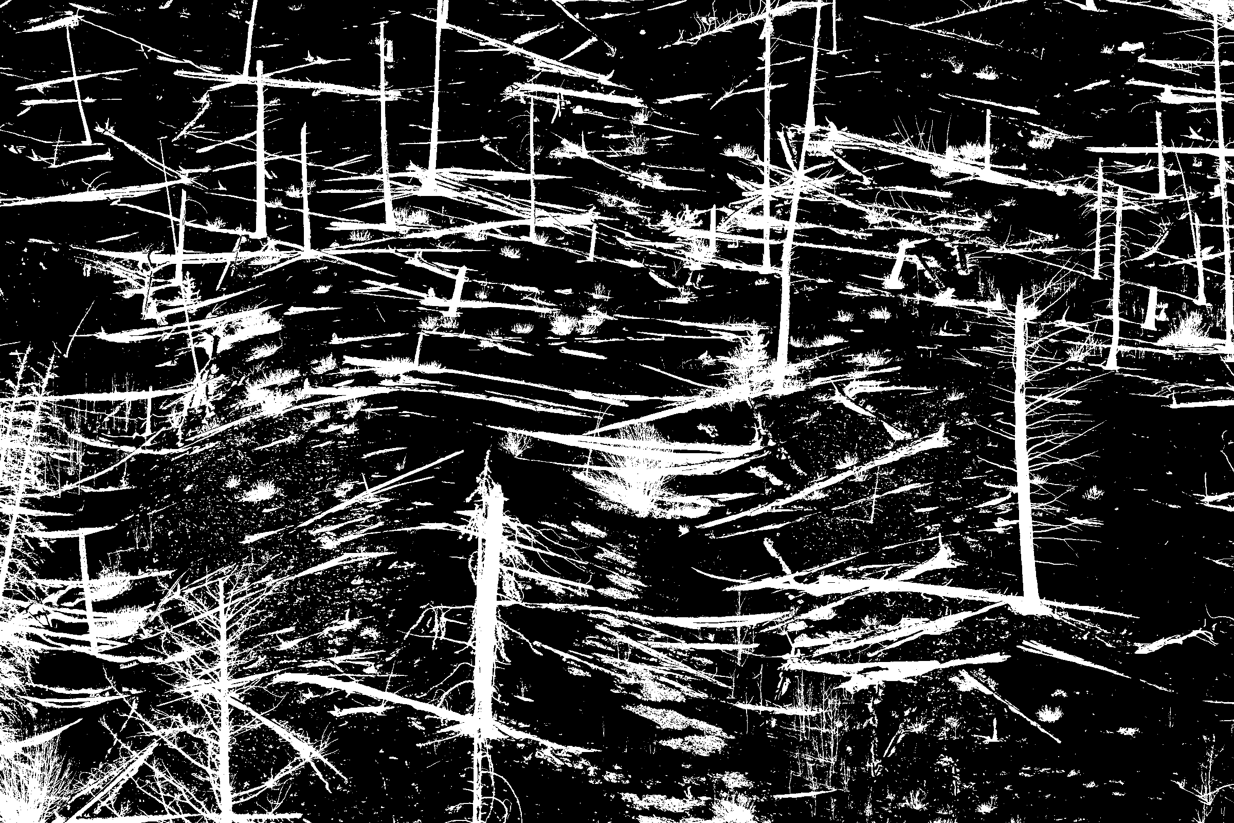 inscription afacc18d3f4832b2131258a0b217e7417a49bbd31c90d945420b9d2adb5c6578i0