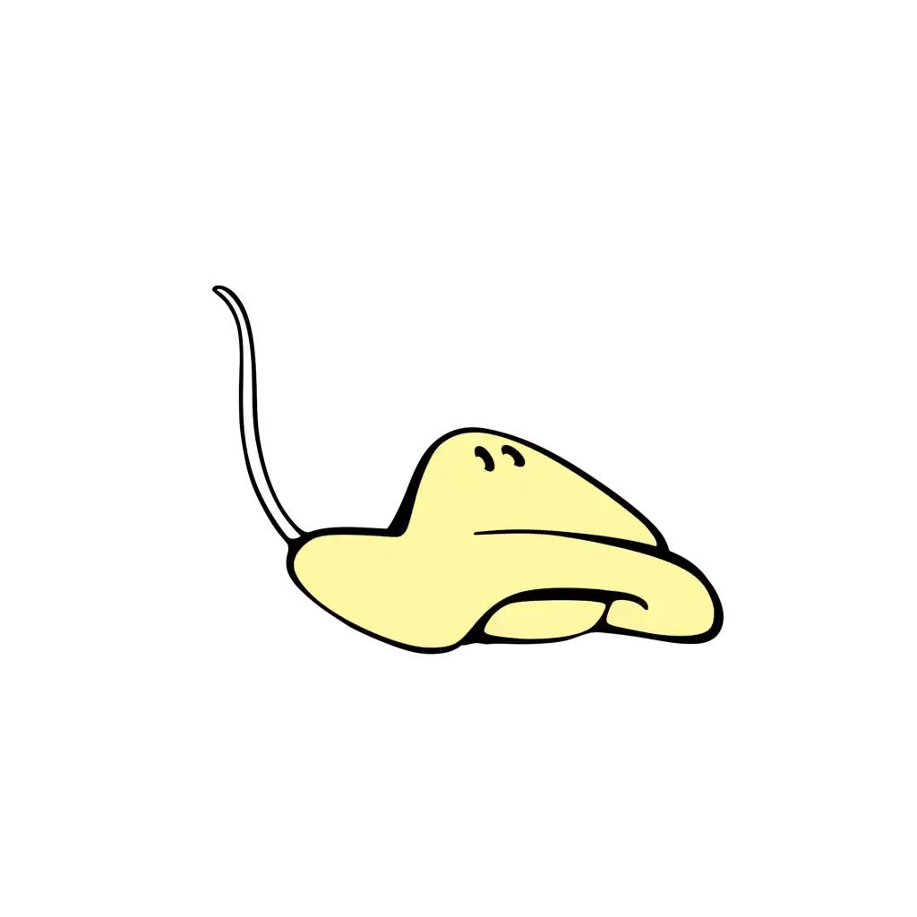 inscription b612569340a036e05a126f7224f08d7b8bc6339f84034fdc21895b80e939f29ei9