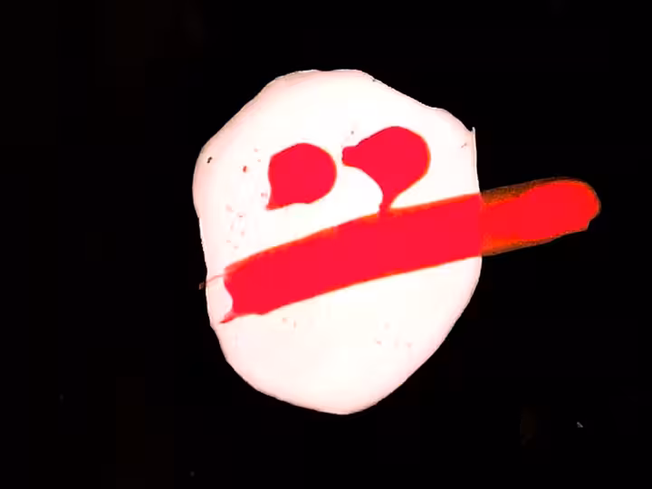 inscription c3074dbdf68103cb2ea8364c22be5ee1800088a4c1d3c4d91e7c5e76d1ce7bb2i24