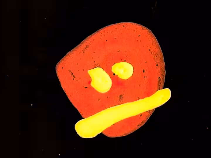 inscription c3074dbdf68103cb2ea8364c22be5ee1800088a4c1d3c4d91e7c5e76d1ce7bb2i28