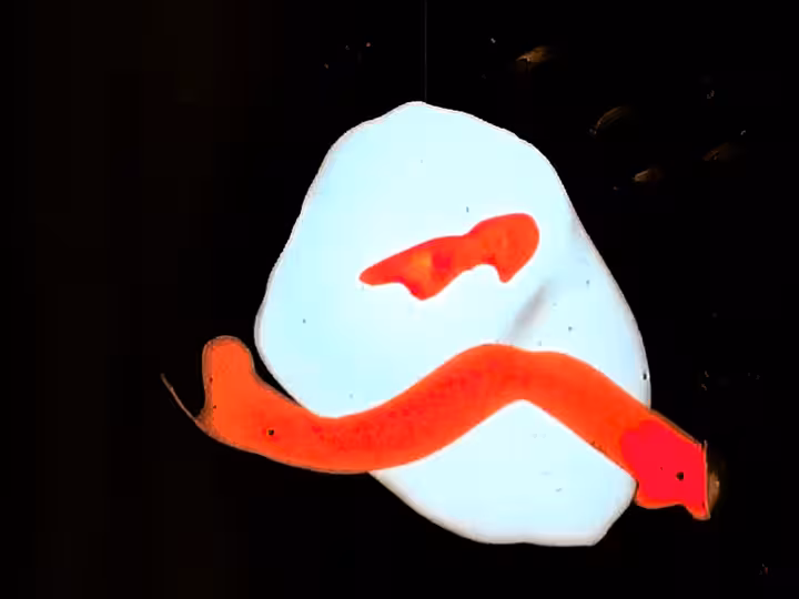 inscription c31a060d5c5c95643cc2a0dbeca45eb89efd1f676442f80231410affb694e2a6i14