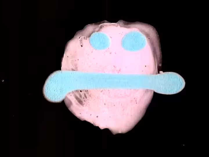 inscription c31a060d5c5c95643cc2a0dbeca45eb89efd1f676442f80231410affb694e2a6i29