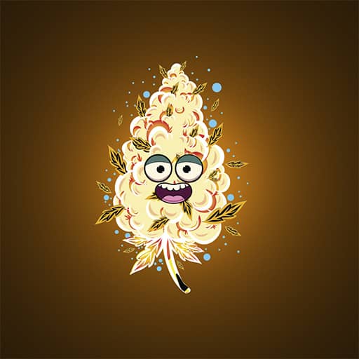 inscription cc67ff07383ce1da6149934f746c675113f1c40e1d3c2536b125146b73127fa0i0