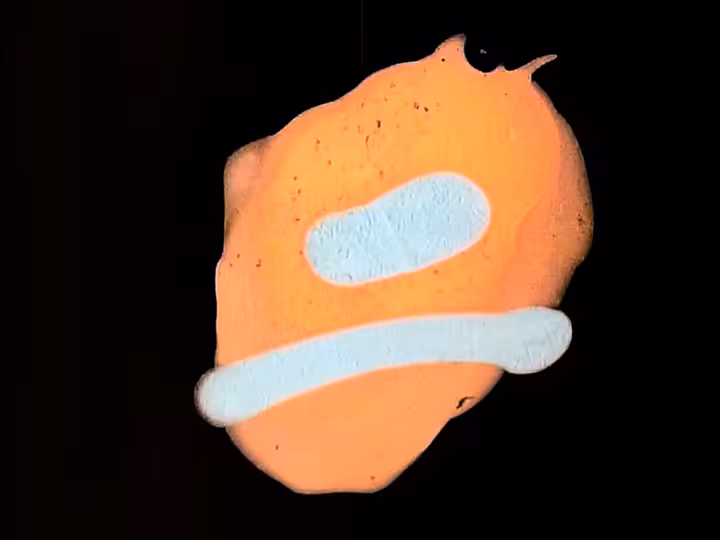 inscription cdf377d4fb41b137f121d62c96e05d688c2aa5b290ac2539f3e909b48b0ee4d7i15