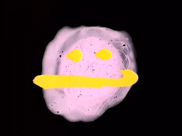 inscription cdf377d4fb41b137f121d62c96e05d688c2aa5b290ac2539f3e909b48b0ee4d7i6