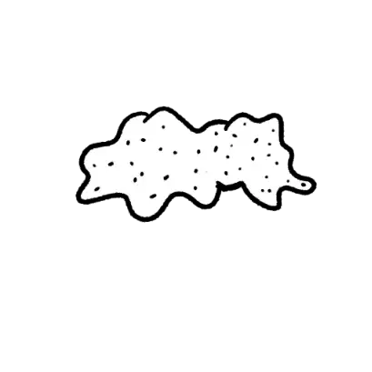 inscription cf997386e346140d3d5dbaedbe015c63d81df962a8cc87fc0b571b429d4778b5i24