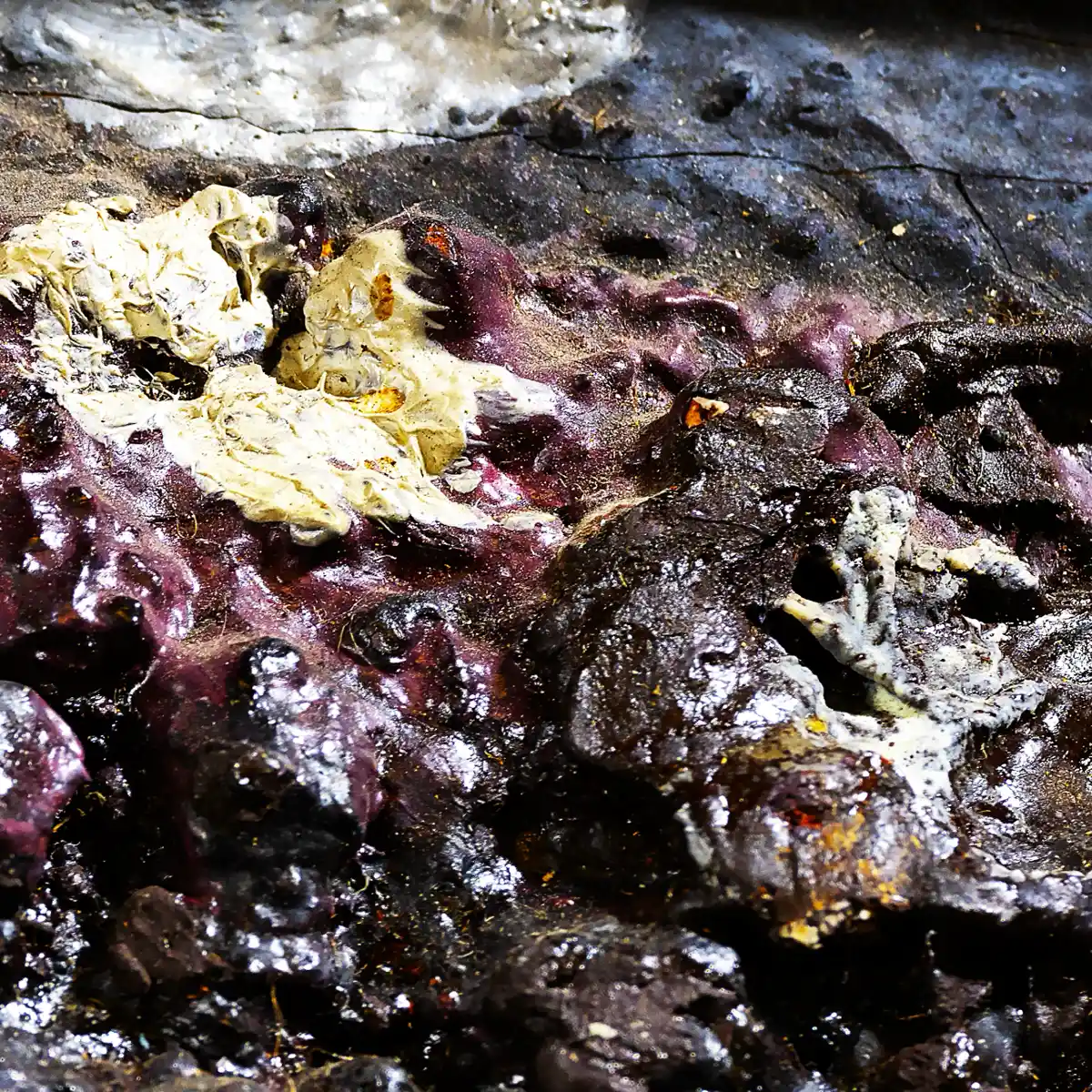 inscription d0c7e7c9b8d5d983c57ec085d892e85ee845a75caf1bd974aa1bd21f9ae57bd8i0