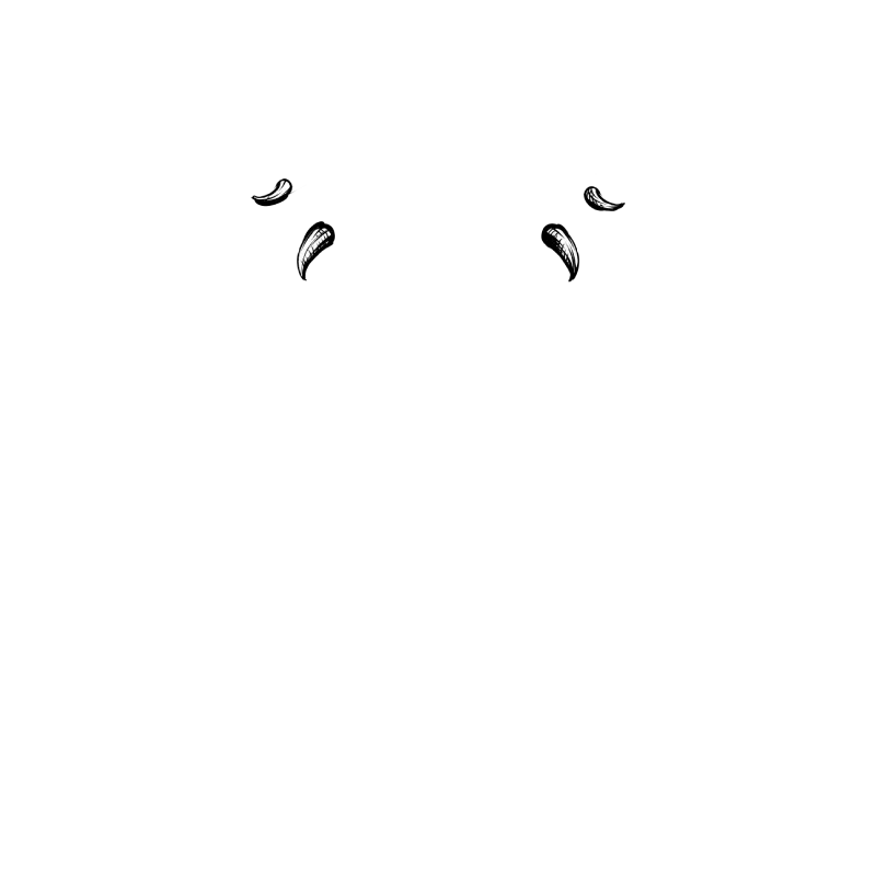 inscription ef2ae1d02c6713dca2e5520af1f97032e92ed049c2e39c03f467b47f495c220bi7