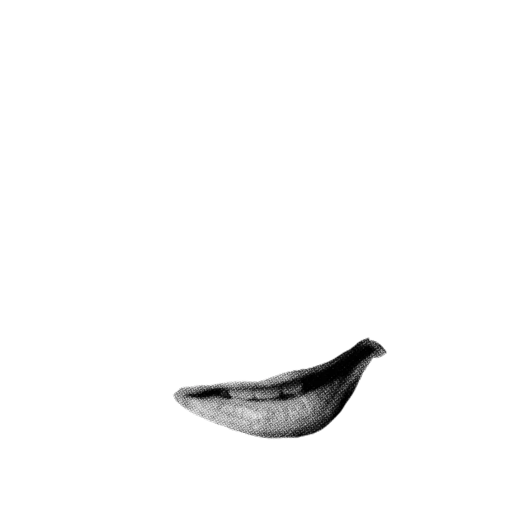 inscription f2eae6c4418a53e08a84f31e8096c5e9e22ed0f485202337d96d19dc44323c8ei7