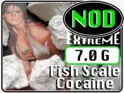 inscription f5501cc3bdc5f3cafe8ba9d4a43b077caaeba70ba48b3f69d1ccf16d32db8714i4