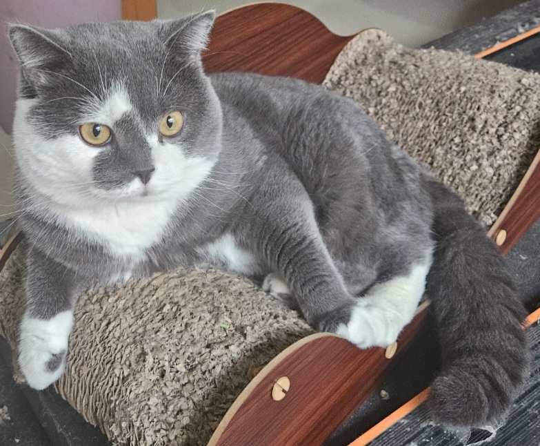 inscription f60eedc52ff5247e980725c83b13dbcdffc2776a551bfc1f48be977cabb33f29i0